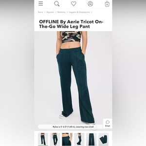Aerie Size Medium On-The-Go Wide-Leg Pants